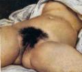 vulva